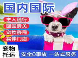 观音机场快运国际宠物托运 【国